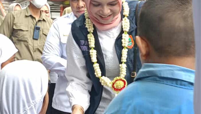 Tim Pembina Posyandu Kalsel  Perkuat Kolaborasi