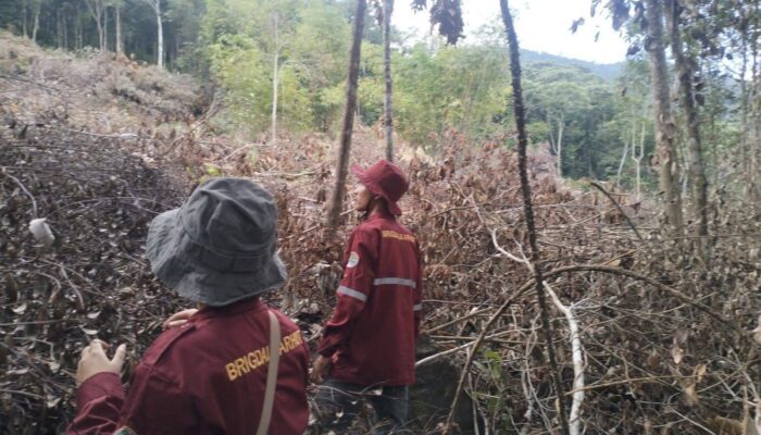 BPBD Kalsel Belum Deteksi Hotspot Karhutla