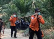 Hilang di Hutan Desa Danau Barito Timur, Jasad Rabayah Ditemukan Mengapung di Sungai