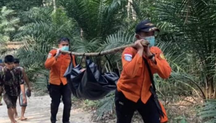 Hilang di Hutan Desa Danau Barito Timur, Jasad Rabayah Ditemukan Mengapung di Sungai