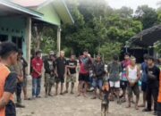 Tersesat di Hutan, Lansia di Pulau Patai Bartim  Bertahan hidup Makan Kelakai