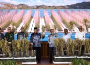 Kendalikan Inflasi Pangan, Gubernur Kalsel Perkuat Sinergi