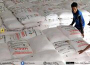 Disdag Kalsel Tak Lagi Berwenang Awasi Distribusi Pupuk Bersubsidi
