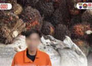 Curi Brondolan Sawit, Warga Jonggon Diamankan Polsek Loa Kulu