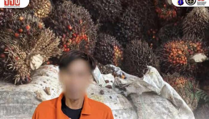 Curi Brondolan Sawit, Warga Jonggon Diamankan Polsek Loa Kulu