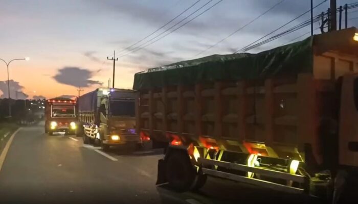 Tim Gabungan Temukan Tambang Ilegal dan Kerusakan Hutan Parah Di IKN