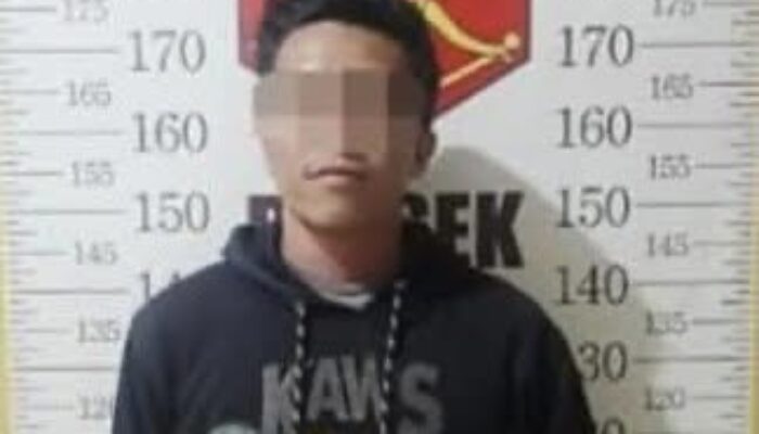 Aniaya Istri Hingga Telinga Robek, Suami Diamankan Polsek Satui