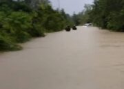Banjir Landa Murung Raya, Dua Jembatan Longsor