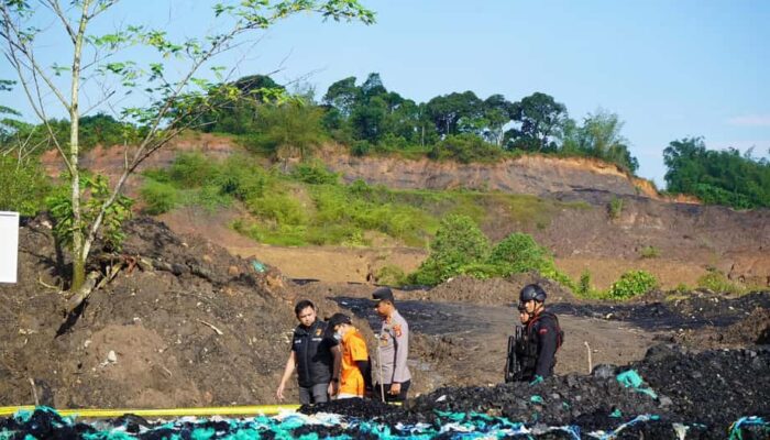 Tambang Batubara Ilegal di Tahura Bukit Soeharto
