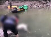 Alami Kecelakaan, Warga Malaysia Ditemukan Mengapung Di Sungai Patek Kecamatan Tabang