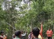Remaja Diduga Hilang di Hutan Desa Jango Barito Timur