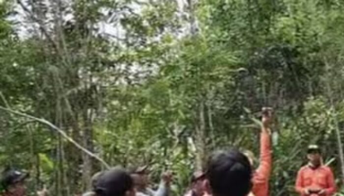 Remaja Hilang Di Jango, Tim SAR Sisir Hutan Hingga Perbatasan Kalteng – Kalsel