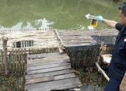 Anak 8 Tahun Ditemukan Tewas Tenggelam di Sungai Ulin
