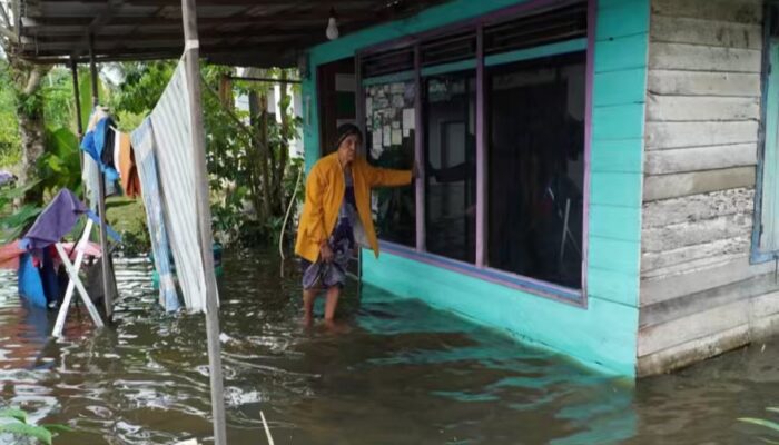 Banjir Landa Kota Banjarmasin, Rumah Warga Sungai Lulut Calap