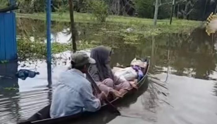 Ribuan Hektar Sawah Kalsel Gagal Panen Akibat Banjir