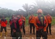 Pergi Berburu, Petani Hilang di Kebun Sawit Marang Kayu