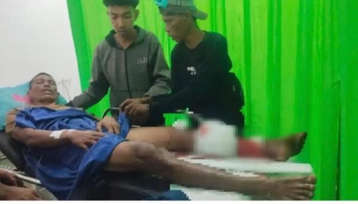 Petambak di Kelumpang Selatan Selamat Dari Terkaman Buaya