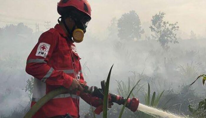 Karhutla Kepung Kalbar, 13 Kabupaten/Kota Terdampak