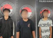 Polres Kukar Sikat Komplotan Sabu Sanga-Sanga dan Palaran