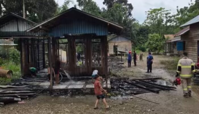Kebakaran di Belimbing Baru, Warga Padamkan Api Sebelum Damkar Tiba