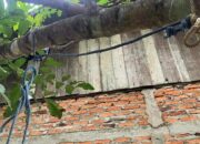 Terlilit Utang Judol, Pria Batulicin Akhiri Hidup di Pohon Rambutan
