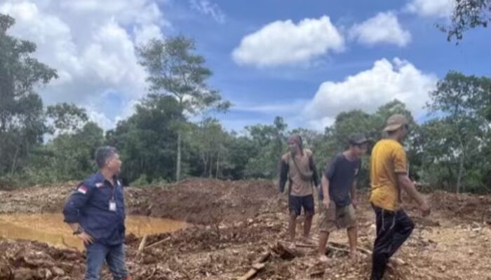 Jejak Tambang Emas Ilegal Desa Artain