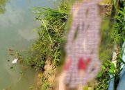 Geger! Dua Anak SD  di Guntung Paring Tewas Tenggelam di Kolam Bekas Galian