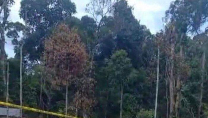 Sengketa Lahan Picu Pembunuhan Brutal Satu Keluarga di Barito Utara