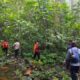 Pria Warga Sepaku Hilang Saat Berburu di Hutan