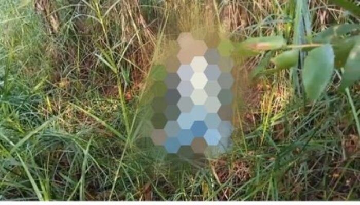 Wanita Ditemukan Tewas Di Sawah Desa Lok Tunggul Pengaron